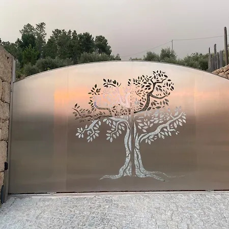 Gabriela Olival Turismo Konukevi