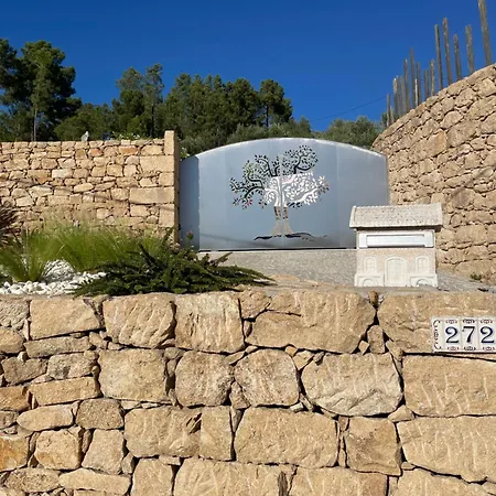 ゲストハウス Gabriela Olival Turismo Santo Aleixo (Viseu)