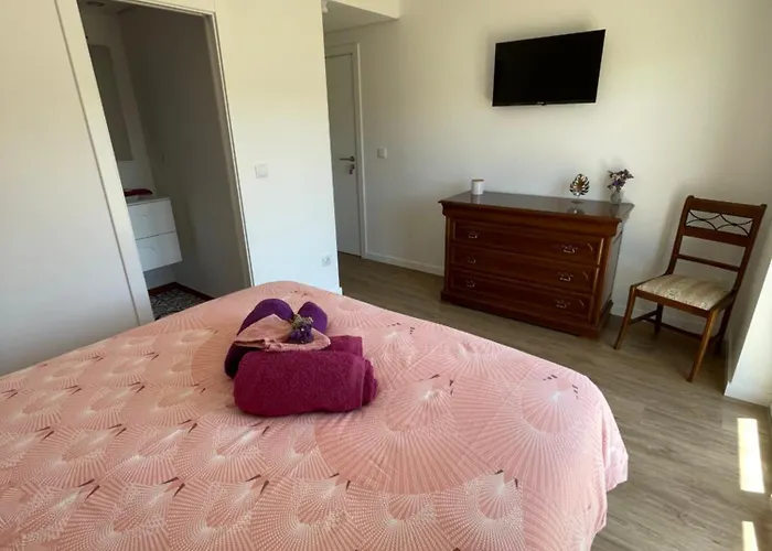 Gabriela Olival Turismo Penzion Santo Aleixo (Viseu)